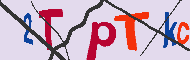 キャプチャ(CAPTCHA)認証コード