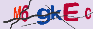 キャプチャ(CAPTCHA)認証コード