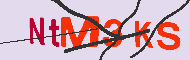 キャプチャ(CAPTCHA)認証コード